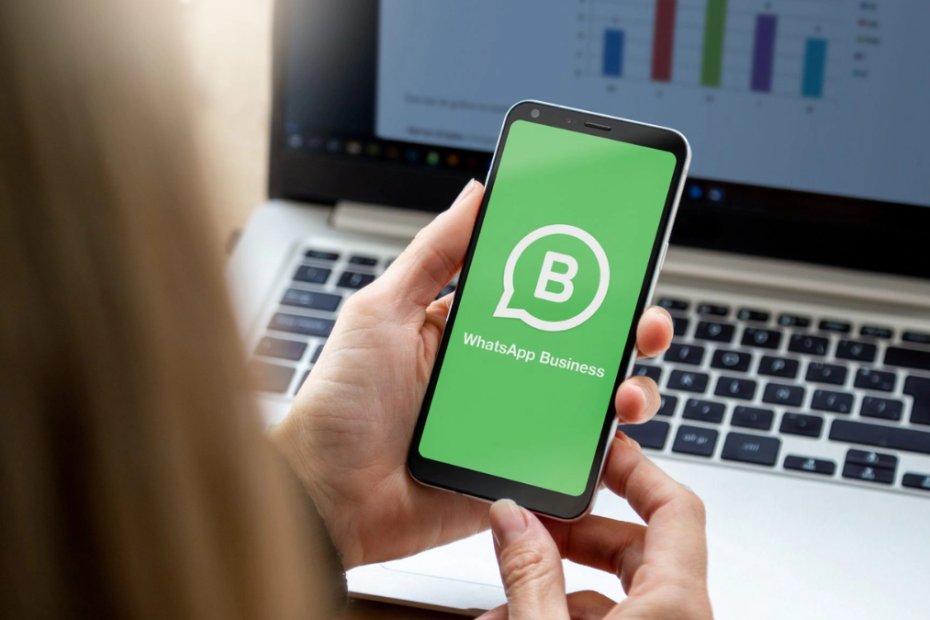 curso de Whatsapp Business